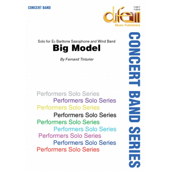Big Model