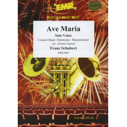         Ave Maria - Franz Schubert / Arr. Jérôme Naulais
    