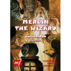         Merlin the Wizard - Julien Roh
    