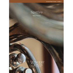         Spitfire - Gary P. Gilroy
    